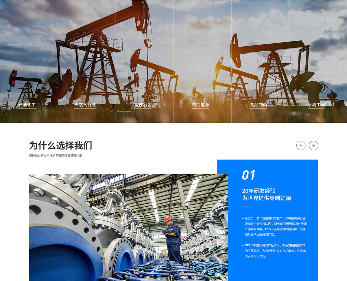 迪普斯科技网站建设案例